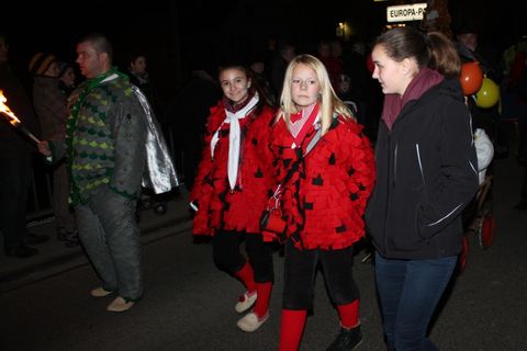 Bild 6 von 15: Fasentverbrennung 2014