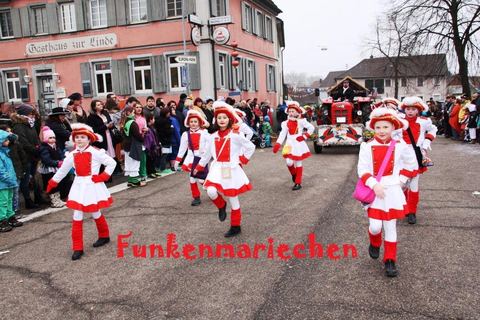 Bild 4 von 15: Rosenmontag 2015