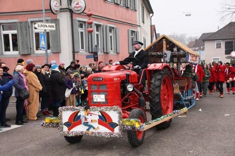 Bild 5 von 15: Rosenmontag 2015