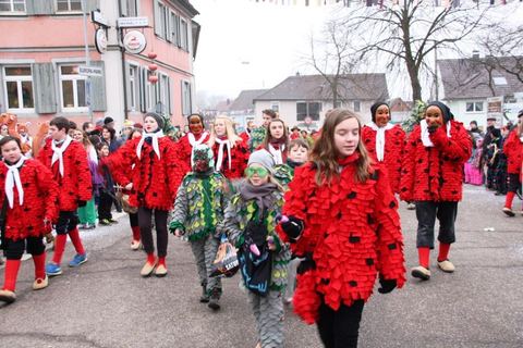 Bild 6 von 15: Rosenmontag 2015
