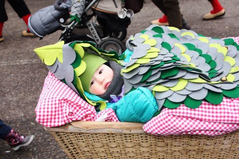 Bild 10 von 15: Rosenmontag 2015