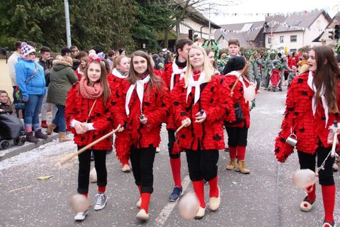 Bild 15 von 15: Jubiläumsumzug Rust 2016