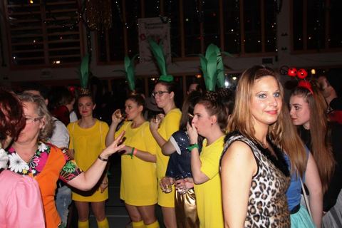 Bild 3 von 15: Narrenratsball 2016
