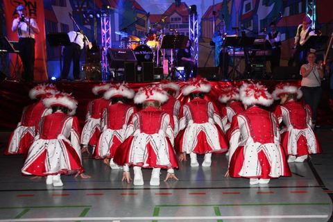 Bild 6 von 15: Narrenratsball 2016
