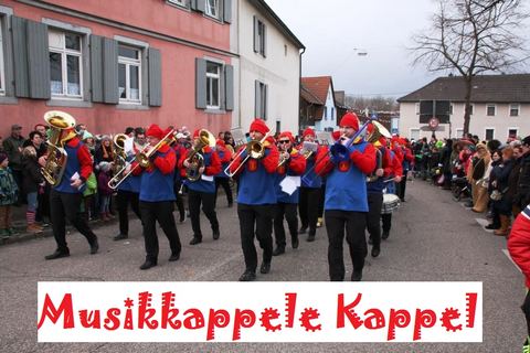 Bild 4 von 15: Rosenmontagsumzug 2016