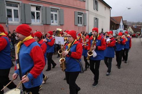 Bild 5 von 15: Rosenmontagsumzug 2016