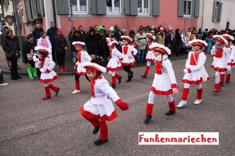 Bild 6 von 15: Rosenmontagsumzug 2016