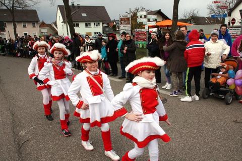 Bild 7 von 15: Rosenmontagsumzug 2016
