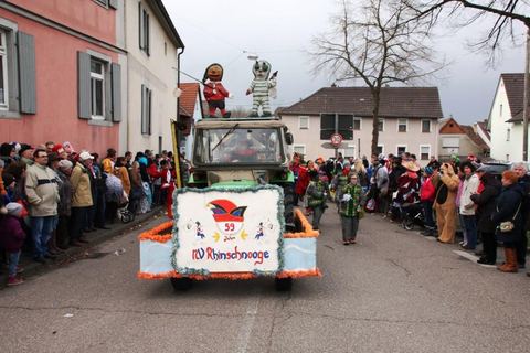 Bild 8 von 15: Rosenmontagsumzug 2016