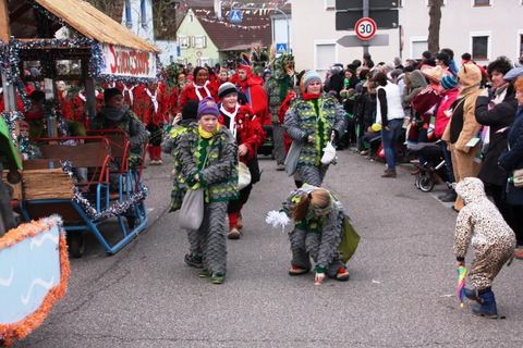 Bild 9 von 15: Rosenmontagsumzug 2016