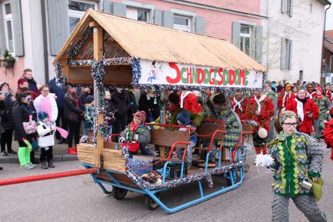 Bild 10 von 15: Rosenmontagsumzug 2016