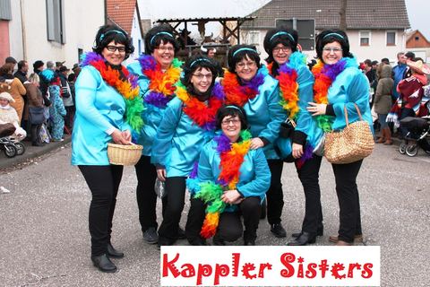 Bild 14 von 15: Rosenmontagsumzug 2016