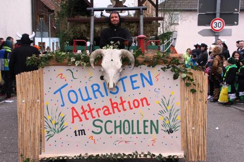 Bild 15 von 15: Rosenmontagsumzug 2016