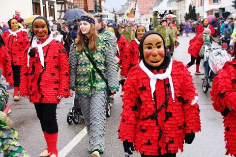 Bild 8 von 15: Umzug Grafenhausen 2016