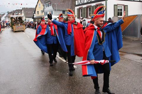 Bild 14 von 15: Umzug Grafenhausen 2016