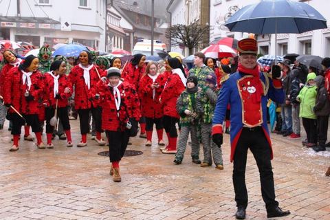 Bild 14 von 15: Umzug Hornberg 2016