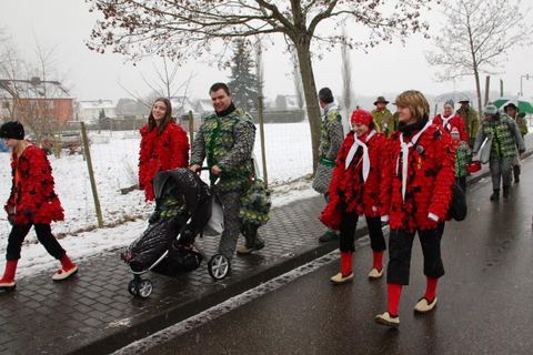 Bild 11 von 15: Jubiläumsumzug March 2017