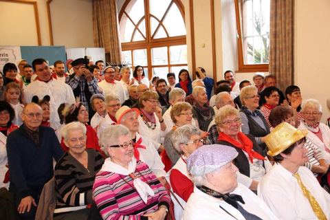 Bild 11 von 15: Narrengericht 2017