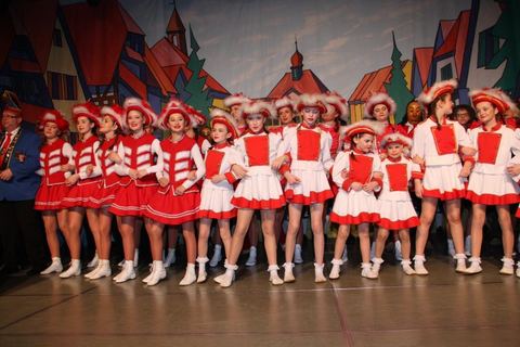 Bild 14 von 15: Prunkabend 2017