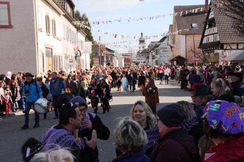 Bild 7 von 15: Rosenmontagsumzug 2017