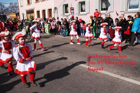 Bild 13 von 15: Rosenmontagsumzug 2017