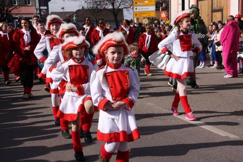 Bild 14 von 15: Rosenmontagsumzug 2017