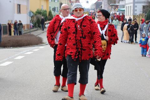 Bild 4 von 15: Umzug Orschweier 2017