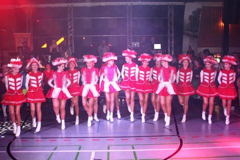 Bild 3 von 15: Narrenratsball 2018