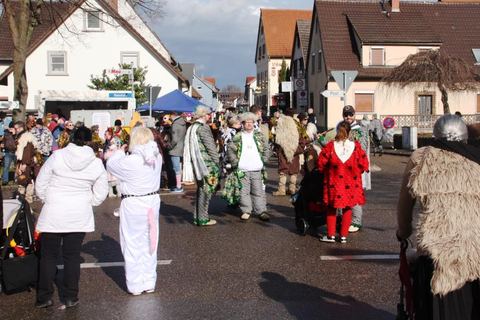 Bild 2 von 15: Rosenmontagsumzug 2018