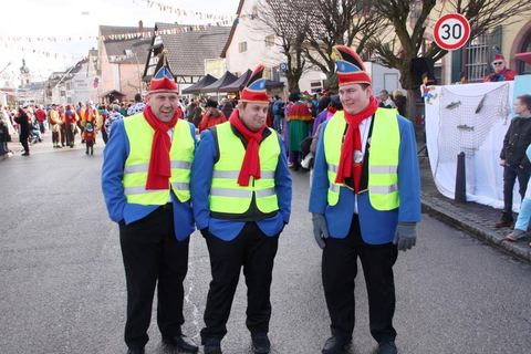 Bild 4 von 15: Rosenmontagsumzug 2018