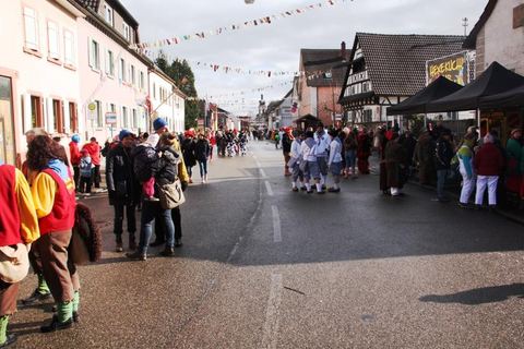 Bild 5 von 15: Rosenmontagsumzug 2018