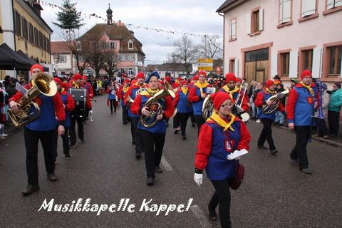 Bild 8 von 15: Rosenmontagsumzug 2018