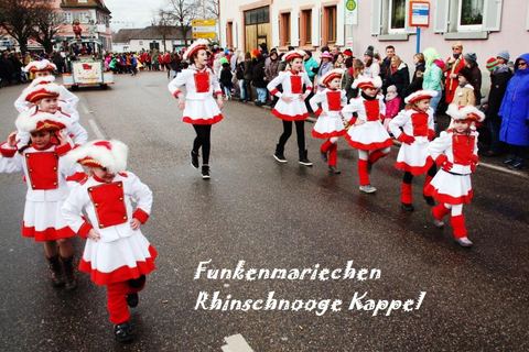 Bild 11 von 15: Rosenmontagsumzug 2018