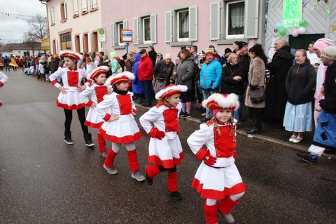 Bild 12 von 15: Rosenmontagsumzug 2018