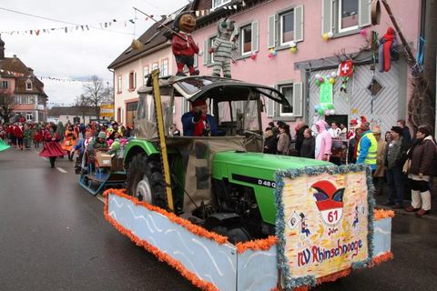 Bild 13 von 15: Rosenmontagsumzug 2018