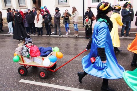 Bild 15 von 15: Rosenmontagsumzug 2018