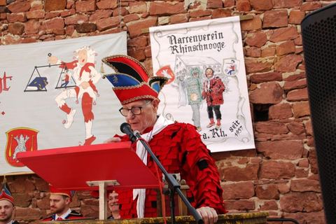 Bild 8 von 15: Narrengericht 2019