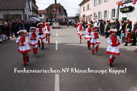 Bild 10 von 15: Rosenmontagsumzug 2019