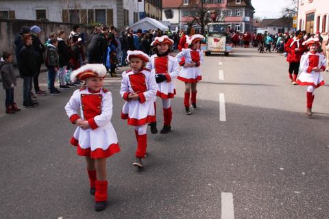 Bild 11 von 15: Rosenmontagsumzug 2019
