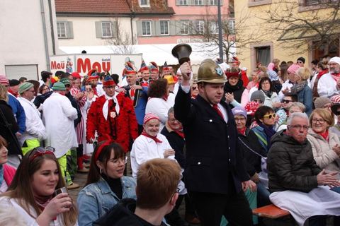 Bild 3 von 15: Narrengericht 2020
