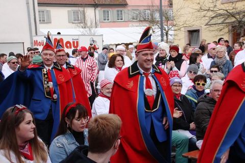 Bild 4 von 15: Narrengericht 2020