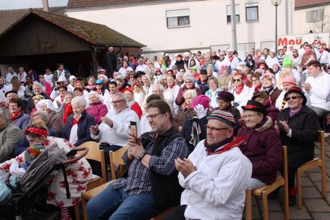 Bild 15 von 15: Narrengericht 2020