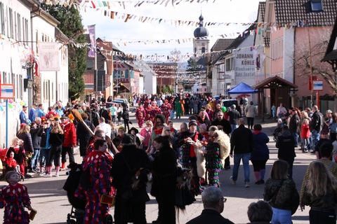 Bild 4 von 15: Rosenmontagsumzug 2020