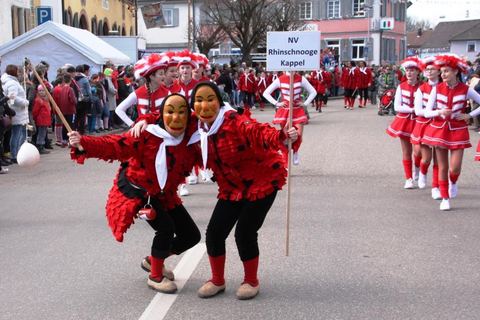Bild 12 von 15: Rosenmontagsumzug 2020