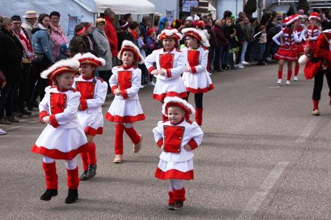 Bild 13 von 15: Rosenmontagsumzug 2020