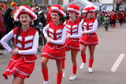 Bild 15 von 15: Rosenmontagsumzug 2020