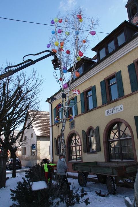 Bild 5 von 15: Fasnacht 2021 spezial 2021