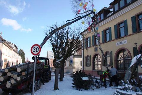 Bild 7 von 15: Fasnacht 2021 spezial 2021