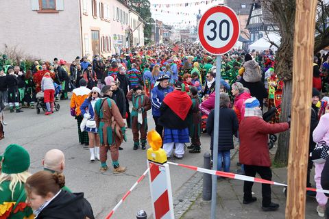 Bild 10 von 15: Jubiläumsumzug 2023