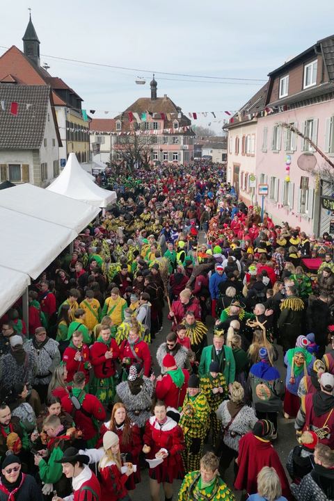Bild 14 von 15: Jubiläumsumzug 2023